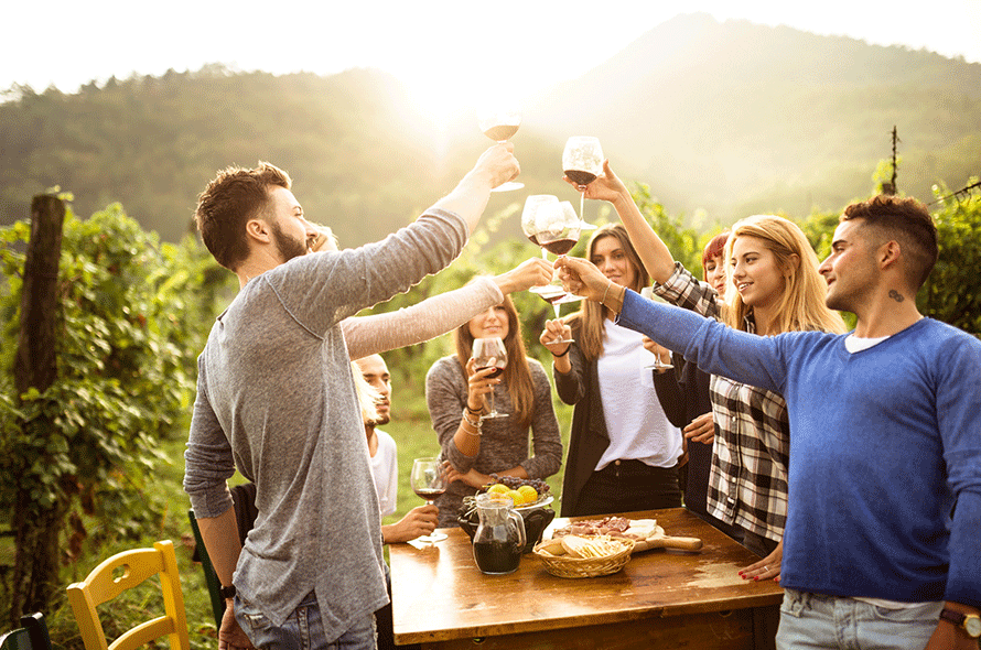 Disfruta de la verdadera experiencia de enoturismo